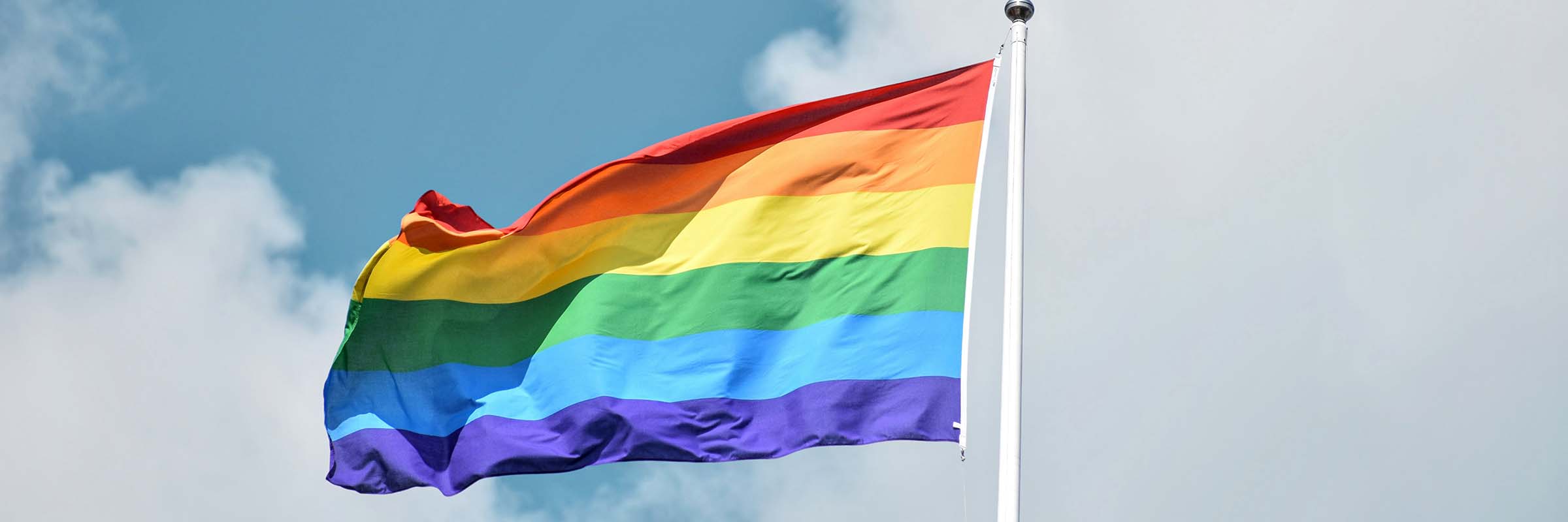 TM picture slider prideflag